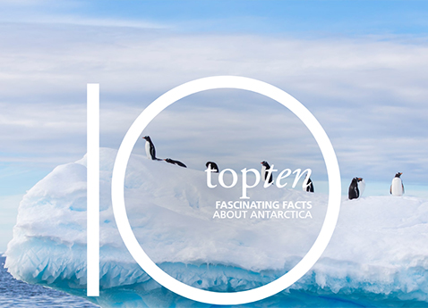 Top 10 fascinating facts about Antarctica
