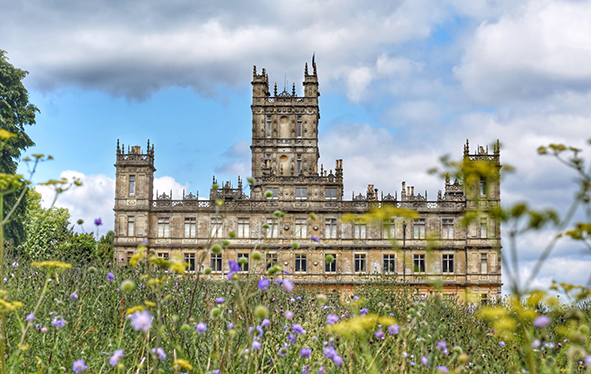 Highclere Castle with wildflowers in foreground