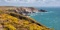 Pembrokeshire coastline