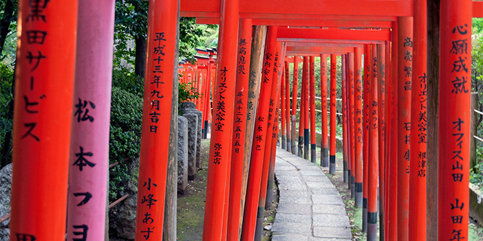 Far Eastern Horizons Cruise Overview