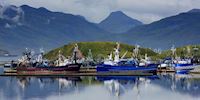 Dutch Harbor boats in Unalaska